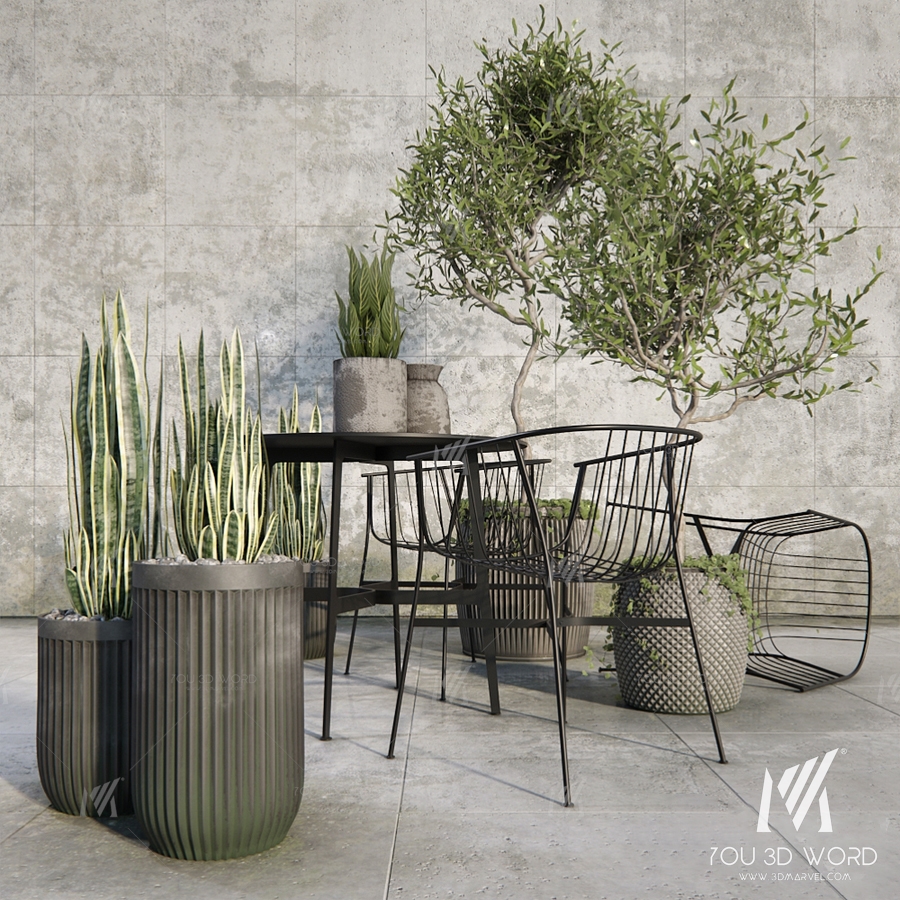Outdoor_plant_set